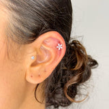 Pierce Stella Marina