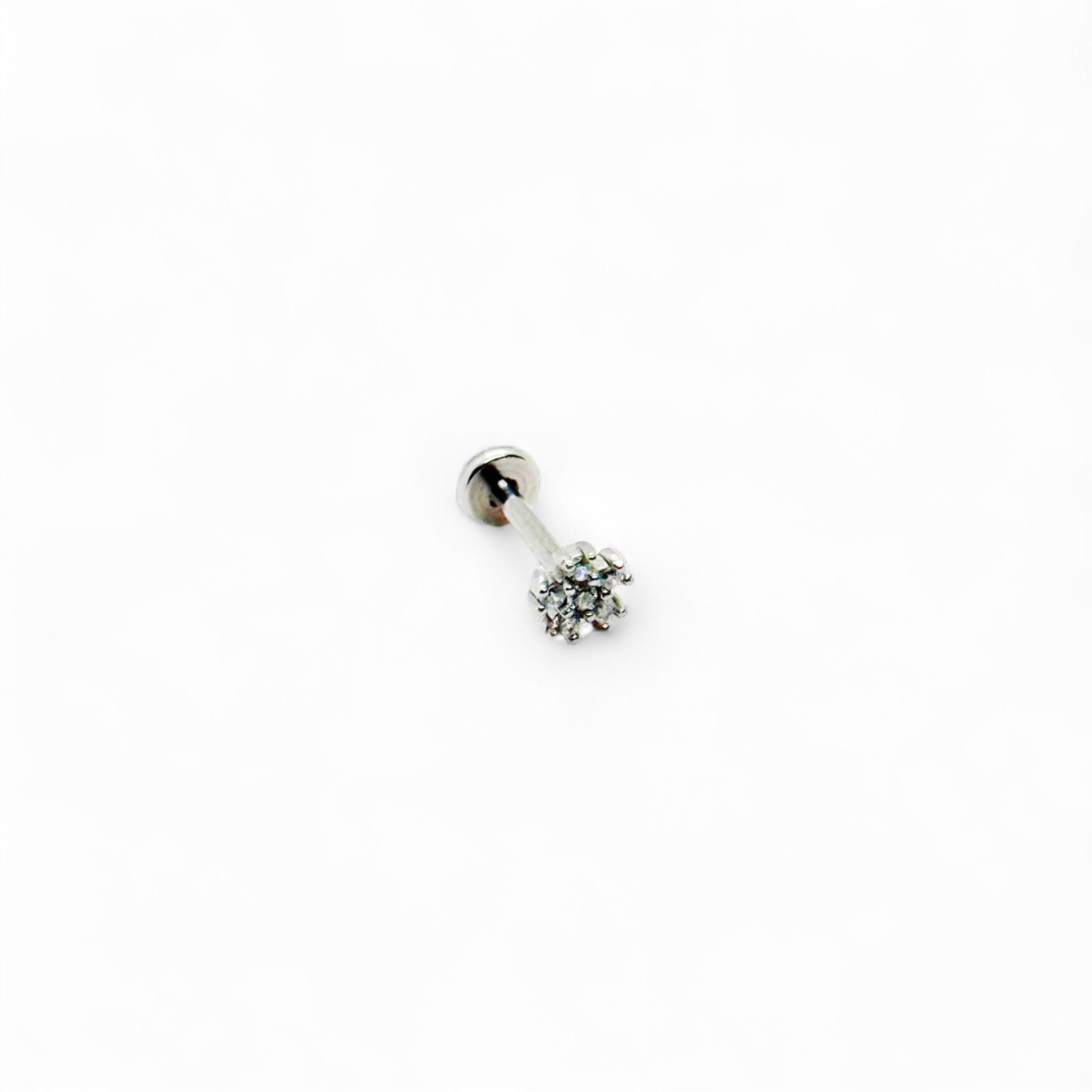 Pierce Stella Polare