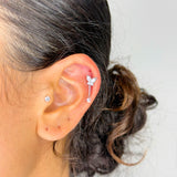 Pierce Ninfa